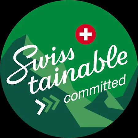 Magnifique Renove Avec Vue Montagne Saas Fee